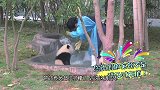 大熊猫玩雪人，不小心掰断雪人脑袋，请憋住别笑