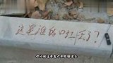 我这步骤没错啊，怎么跟别人的不一样呢
