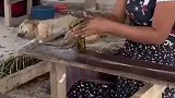 外国工人手工制作藕丝，这算是奢侈商品了吧？千斤千金都很难买！