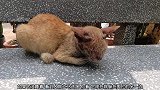 长椅上发现一只流浪猫正在睡觉，才走到它面前就醒过来了