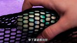 生活实用小妙招，教你一招再也不怕你家狗狗乱跑了
