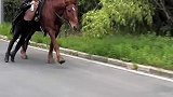 这是什么速度居然能追上马，不过这算是酒驾吗