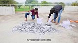 老外作死挑战流沙池，最先逃出奖励10000美元，结果想不到！