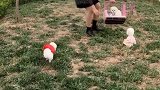 俊介这女的运气真好
