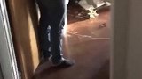 本以为你忠厚老实，真是没想到啊，没想到！
