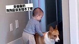 萌娃试图偷偷骑到狗狗背上