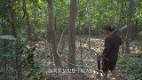 越南美女为躲避催婚，树林徒手建造悬空树屋，一顿操作猛如虎！