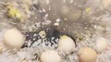 做个盐焗鸡蛋居然还会爆炸