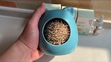 救助小刺猬第三天，小有成效。