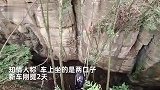 新车刚提2天男子油门当刹车，和妻子坠入20米路沟无大碍，气囊全部打开