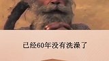 你能忍受多久不洗澡？