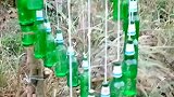 啤酒瓶别扔了，留着做风铃挺好的！