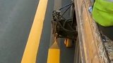 这才是老司机走直线丝毫不差，道路标线施工，这操作真是佩服！