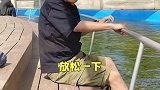 我在北京周边，发现了一个多玛乐园，是个可以捉鱼赶海的好地方！多玛乐园  夏天里的美食  旅游