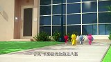 迷你特工队：鹅双胞胎见到特工队，竟嘲讽特工队员长得像花生
