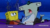 章鱼帮和鲨鱼帮要火拼吓得海绵宝宝瑟瑟发抖
