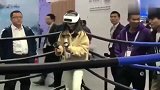 幸亏有个围栏，不然这一圈男人，不知有几个会被误伤