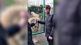 凯恩动物园喂狮子 球迷：英格兰狮子王遇见狮子王