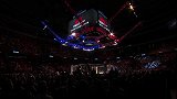 UFC格斗之夜153主赛：阿米尔哈尼VS菲什戈尔德