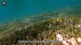 印度河流再现水怪，专家前去探查，见到怪物模样时却愣了