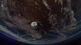 中国究竟在月球背面，拍到了什么霍金曾多次警告人类