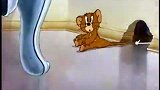 猫和老鼠：杰瑞被汤姆捉到，还被拖着走，一路各种磕磕碰碰