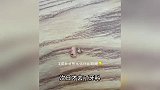 女子撞到麻筋眼前一黑，突然晕厥一分钟摔断门牙！手机拍下全过程