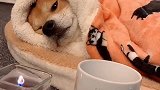 降温了，大家注意保暖。