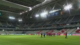 欧洲杯-16年-威尔士队长伤势无碍 主帅表示可出战比利时-新闻