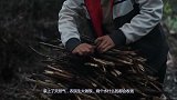 农民烧煤的时候很大方，换上天然气后就有些“蔫了”，这是为啥？
