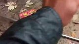 男子刚把鱼钓上来，就遇到了猫咪抢劫