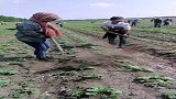 这就厉害了，一顿操作猛如虎，只留下该留的！