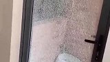 猫：惊不惊喜，送你的礼物！