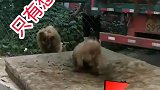 这位司机绝对是个人才