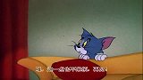 猫和老鼠：家里来了三只小猫咪，一个比一个顽皮，害惨了汤姆