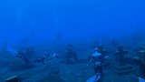 潜水员在旅游区发现巨大海底墓地 水下景观令人毛骨悚然