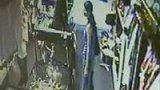只因太无聊 澳洲美女比赛偷东西-8月25日