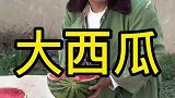 今天是个好日子，孬蛋卖瓜