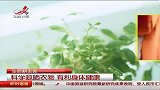 科学晾晒衣服有依据　有利身体健康