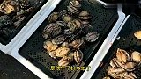 青岛街头鲍鱼，拳头大小6块钱一只，买得多还可以再优惠