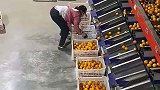 一顿操作猛如虎，一看工资两千五