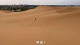 当阿拉斯加雪橇犬遇上骆驼。狗主人：你等着