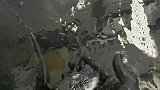 再也不吃墨鱼了，你要是不说我还以为你放机油呢