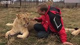 看见母狮被人欺压，雄狮忍不住出手，下一秒却惨被教训！
