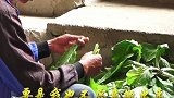 贵州大山发现一天然洞穴，洞中住70多人，养鸡种菜与世无争