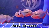 底滤鱼缸的溢流管有噪音，到底是怎么回事，可以消除吗？