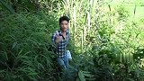 农村小莫：小莫进山发现一个神秘溶洞，刚进洞口就发现一块蛇皮