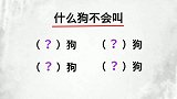 脑筋急转弯：什么狗不会叫？聪明人一眼就能看出三个答案