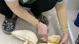这榴莲是来报仇的吧