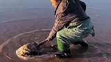 赶海捉海鲜，大爷这技术咋样